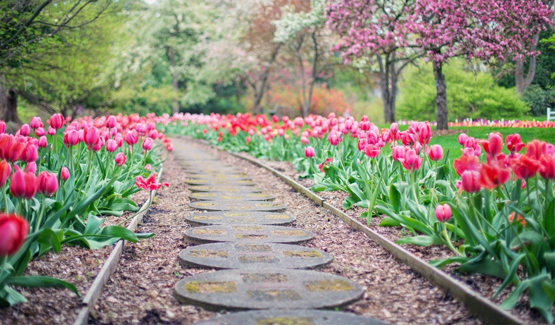 Rose Garden Path Rose Garden Path
