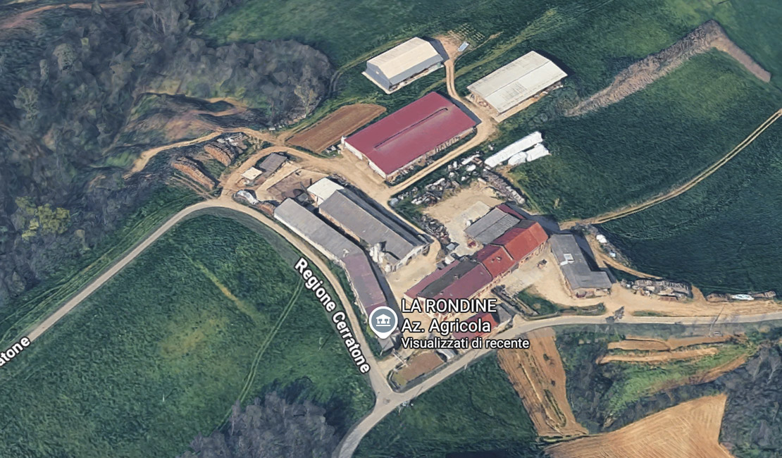 azienda rondine